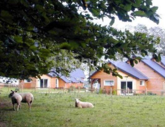 La Ferme Pillet Villa Berville-en-Caux Bagian luar foto